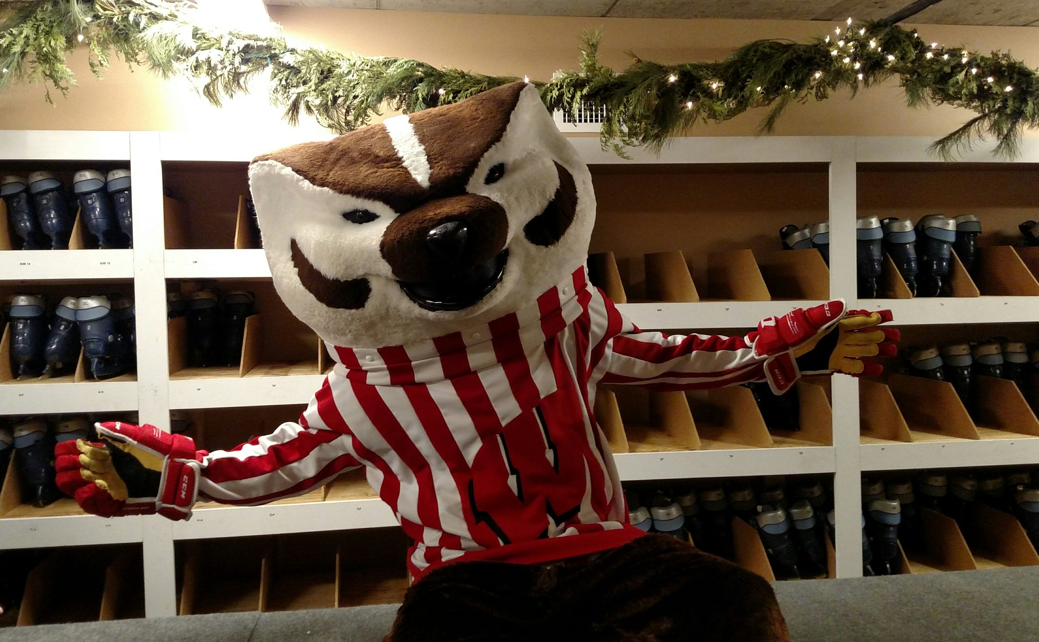 Bucky Badger