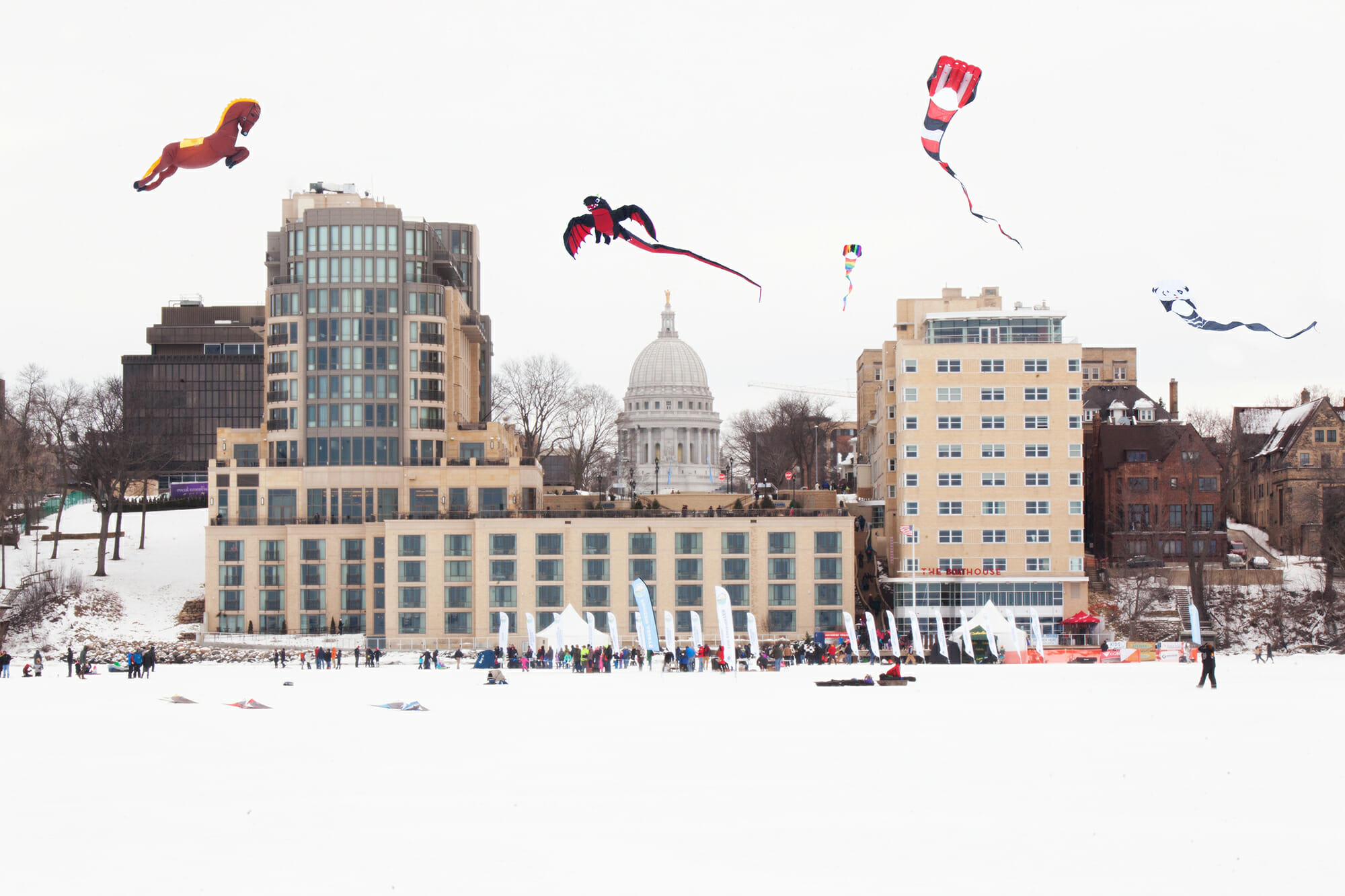 Frozen Assets Festival