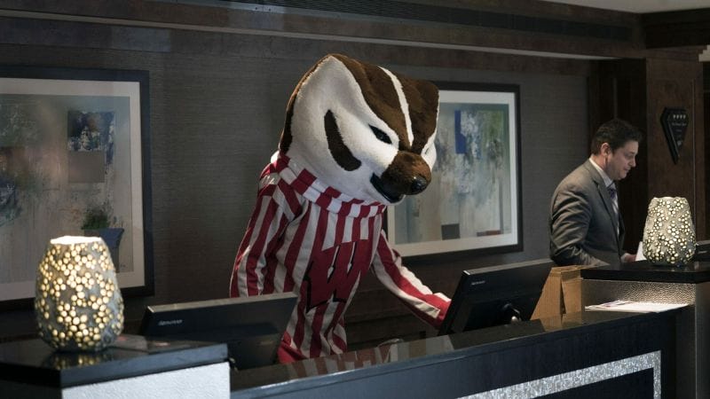 A costumed badger mascot in a striped outfit stands at a hotel reception desk, with a staff member assisting nearby.