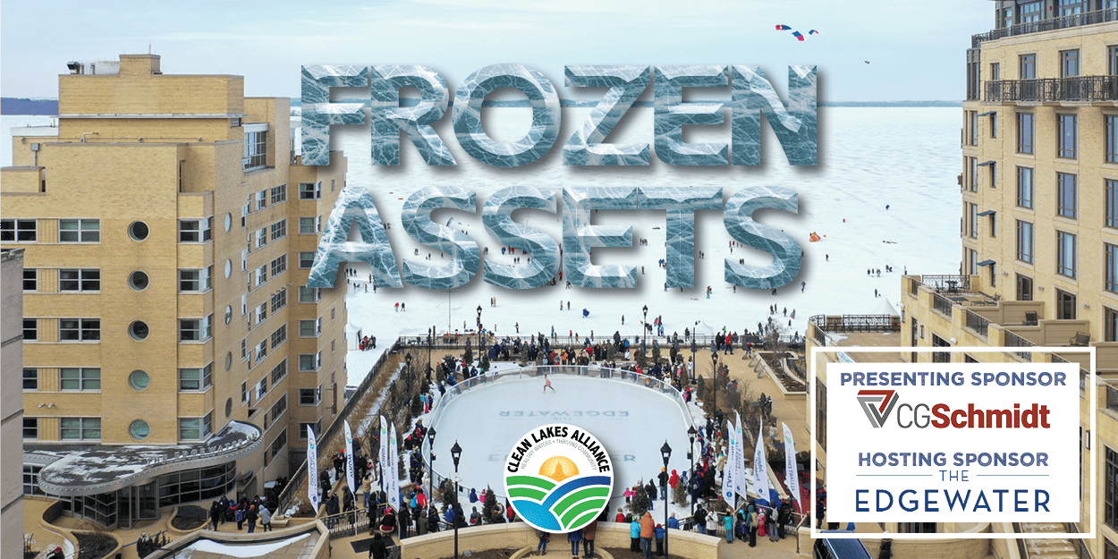 Crowds skate on a frozen lake, with buildings and banners in the background, featuring the text "FROZEN ASSETS."